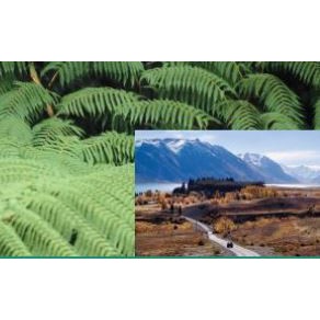 4 September 2007
Nation's environmental sustainability goes under microscope 