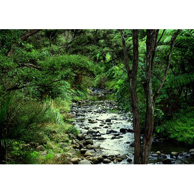 29 August 2008
Overcoming a 'squeaky wheel' approach to dealing with environmental problems 