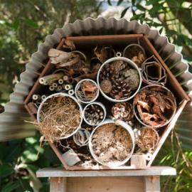 Insect Hotel 
Landscape Architecture 
Student Project 5