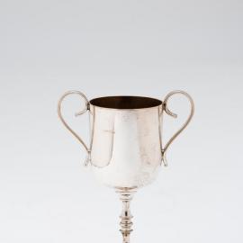 Wright Stephenson & Co Cup 1931