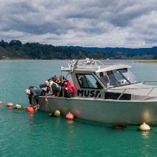 14 February 2021
New coastal marine management research scholarship