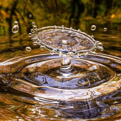 29 October 2021
Student water research conference in full flow next weeks