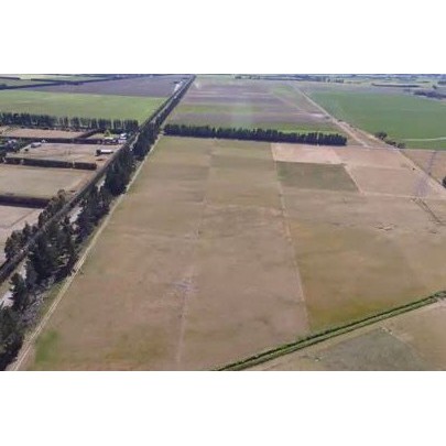 Dryland Pastures Research 