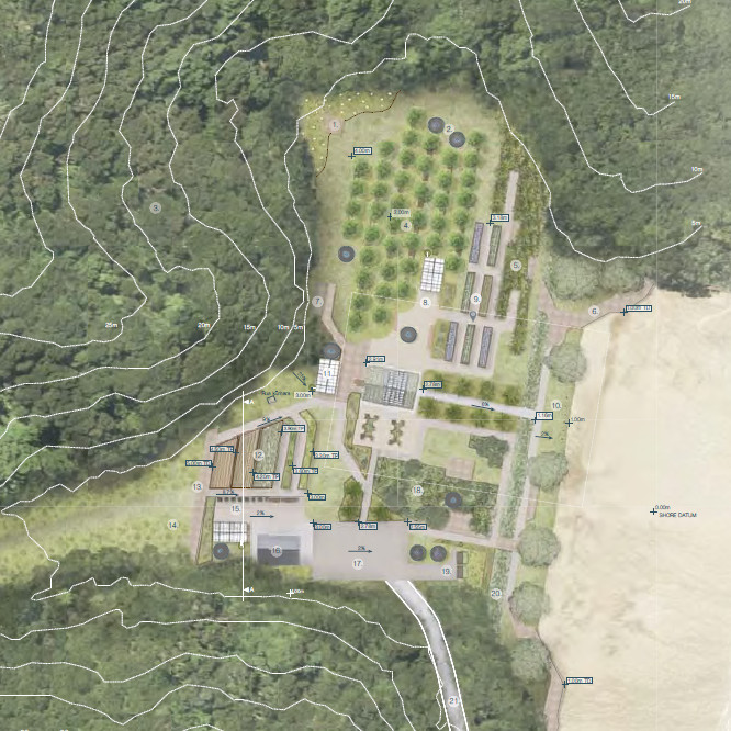 Restoring Hauora: A Call to the Coast