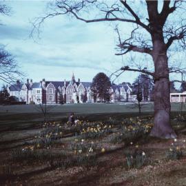 1960s Campus in spring