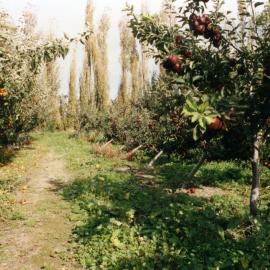 Horticulture Research Images 96