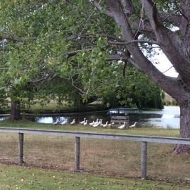 Telford Field Trip 006