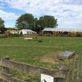 Telford Field Trip 010