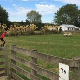 Telford Field Trip 012