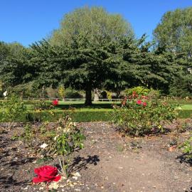 Telford Field Trip 027