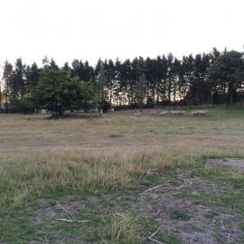 Telford Field Trip 029