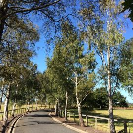 Telford Field Trip 071