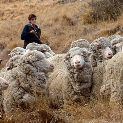 18 October 2022
High country farmer leaves proud legacy for female students