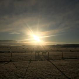 The beauty of New Zealand's incredible landscapes 2