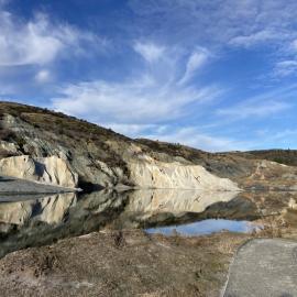 The beauty of New Zealand's agriculture and incredible landscapes 4