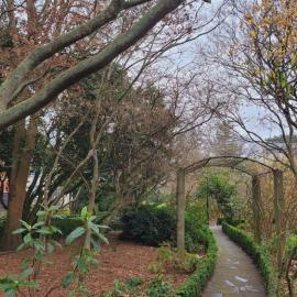Garden beside commerce building in winter 01