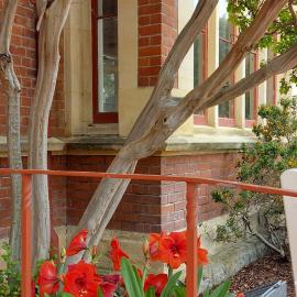 Ivey frontage with Amaryllis