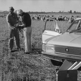 1982 Graeme Tate & John McCartin at mixed cropping farm (3)