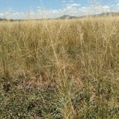 16 February 2023
Lincoln ecology researcher sheds light on real price of gas