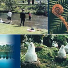 History of Lincoln Environmental Organisation (LEO)