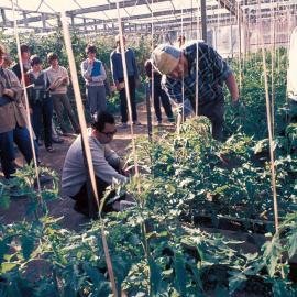 Professor Kuan Goh with his students 02