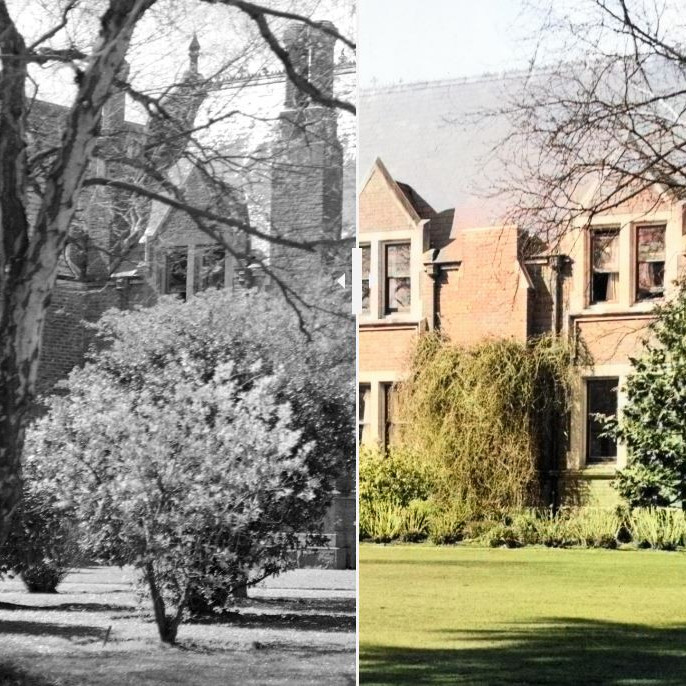 Changes Over Time: Memorial & Ivey West