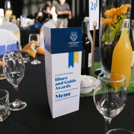 2023 Blues & Golds Award 002