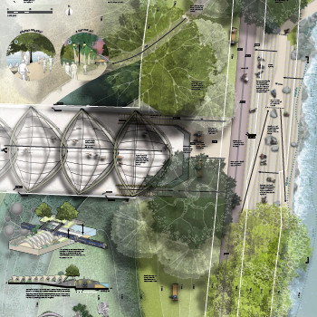 Tauranga: Tomorrows city - Dominic Koch