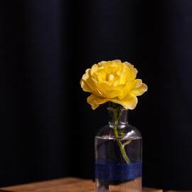 2024 VCs PHD Dinner (181)