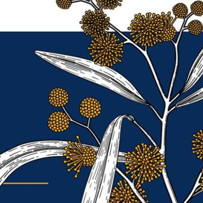 12 June 2024
Alumni recognised with royal honours