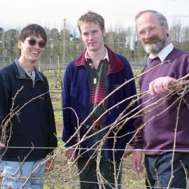 Three Lincoln University Viticulture & Oenology Lecturers:
Glen Stewart, Adam Friend and Mike Trought  in the university's vineyard, August 1998 02