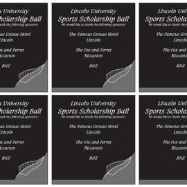 2005 Sports Scholarship Ball Flyers 02