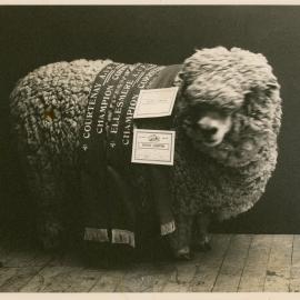 1978 Champion Corriedale Ewe, Courtenay, Ellesmere and Amberley A & P Show