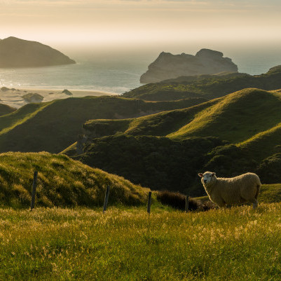 28 August 2024
New Environment and Agriculture Master Programme aims for better results in both
