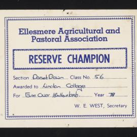 Ellesmere A&P Show Certificate, 1978, Reserve Champion, Lincoln College, Dorset Down Ewe 