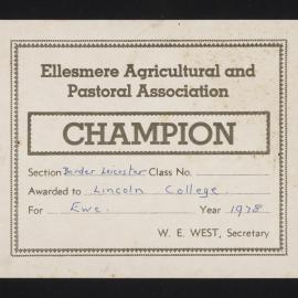 Ellesmere A&P Show Certificate, 1978, Champion, Lincoln College, Border Leicester Ewe 