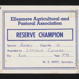 Ellesmere A&P Show Certificate, 1978, Reserve Champion, Lincoln College, Romney Ewe 