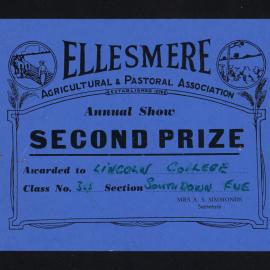 Ellesmere A&P Show Certificate, [1970s], Second Prize, Lincoln College, Southdown Ewe (Class 34)