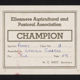 Ellesmere A&P Show Certificate, 1978, Champion, Lincoln College, Romney Ewe