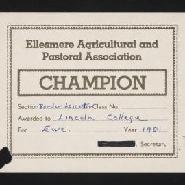Ellesmere A&P Show Certificate, 1981, Champion, Lincoln College, Border Leicester Ewe 