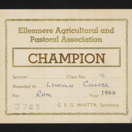 Ellesmere A&P Show Certificate, 1968, Champion, Lincoln College, Ram (Class 16)