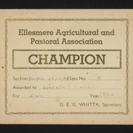 Ellesmere A&P Show Certificate, 1965, Champion, Lincoln College, Border Leicester Ewe (Class 5)