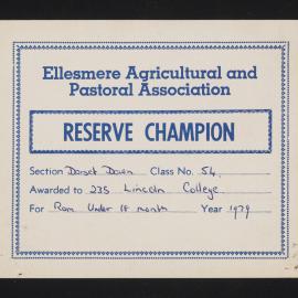 Ellesmere A&P Show Certificate, 1979, Reserve Champion, Lincoln College, Dorset Down Ram (Class 54)