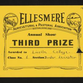 Ellesmere A&P Show Certificate, [1970s], Third Prize, Lincoln College, Border Leicester (Class 6)