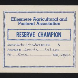 Ellesmere A&P Show Certificate, 1980, Reserve Champion, Lincoln College, Border Leicester Ewe (Class 4)
