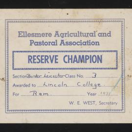 Ellesmere A&P Show Certificate, 1971, Reserve Champion, Lincoln College, Border Leicester Ram (Class 3)