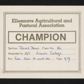 Ellesmere A&P Show Certificate, 1979, Champion, Lincoln College, Dorset Down Ewe (Class 56)
