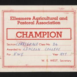 Ellesmere A&P Show Certificate, 1977, Champion, Lincoln College, Corriedale Ewe (Class 24)