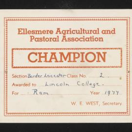 Ellesmere A&P Show Certificate, 1977, Champion, Lincoln College, Border Leicester Ram (Class 2)