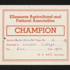 Ellesmere A&P Show Certificate, 1977, Champion, Lincoln College, Border Leicester Ewe (Class 4)